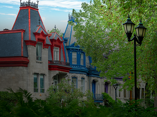 L’effervescence du Plateau Mont-Royal